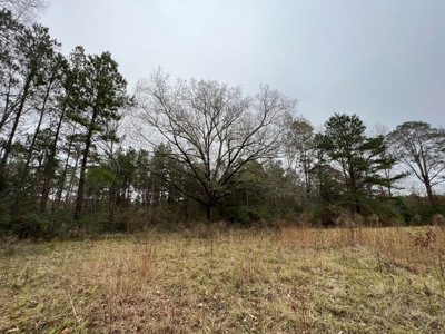 Land for Sale in Tenaha, TX - image 20