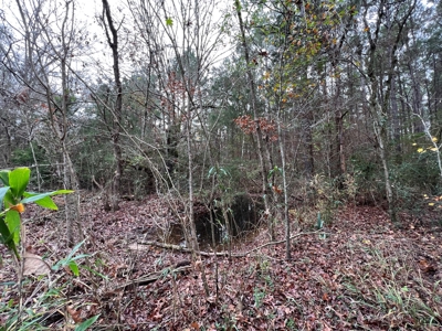 Land for Sale in Tenaha, TX - image 7