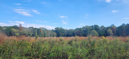 Land for Sale in Tenaha, TX - image 1