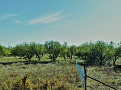 Land for sale near May TX - image 4