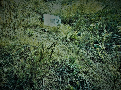 Land for sale near May TX - image 2