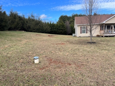 Home for Sale Near the Town of Floyd VA - image 3