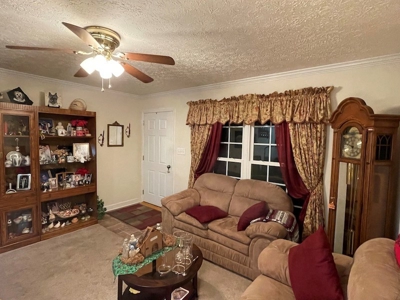 Home for Sale Near the Town of Floyd VA - image 16