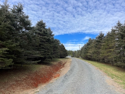 Home for Sale Near the Town of Floyd VA - image 8