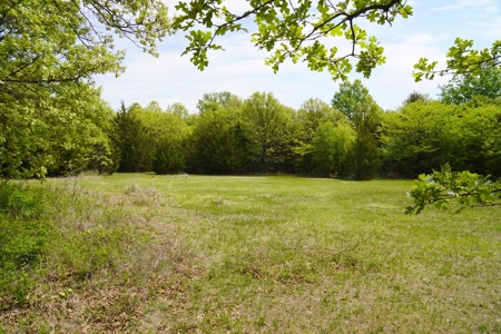 Spacious Home on Recreational Hunting Acreage For Sale - image 42