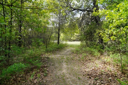 Spacious Home on Recreational Hunting Acreage For Sale - image 44