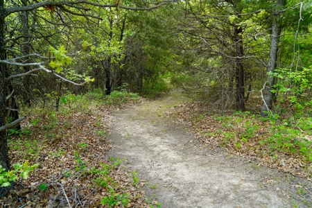 Spacious Home on Recreational Hunting Acreage For Sale - image 43