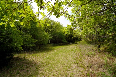 Spacious Home on Recreational Hunting Acreage For Sale - image 45
