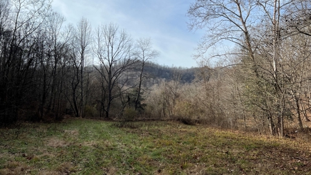 Scioto County Ohio Land for Sale - image 10