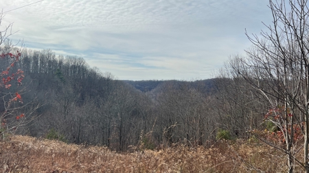 Scioto County Ohio Land for Sale - image 20