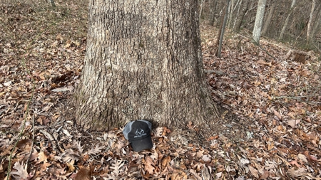 Scioto County Ohio Land for Sale - image 37