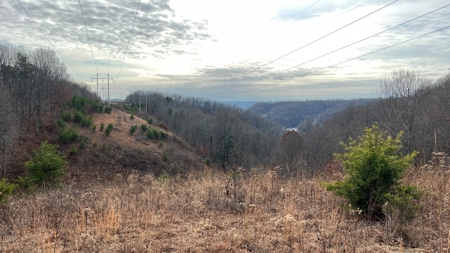 Scioto County Ohio Land for Sale - image 34