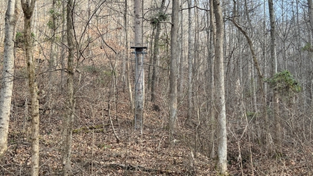 Scioto County Ohio Land for Sale - image 17