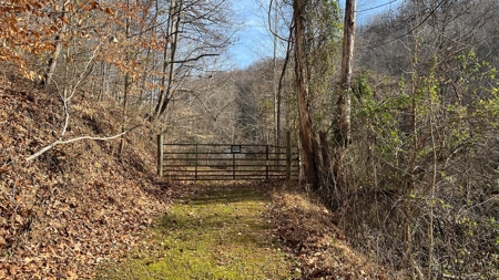 Scioto County Ohio Land for Sale - image 2