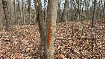 Scioto County Ohio Land for Sale - image 35