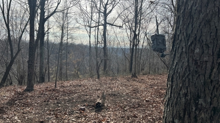 Scioto County Ohio Land for Sale - image 28