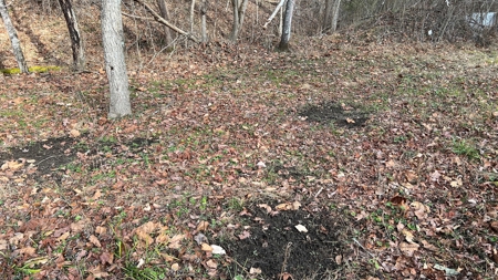 Scioto County Ohio Land for Sale - image 7