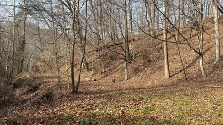 Scioto County Ohio Land for Sale - image 4