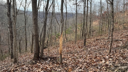 Scioto County Ohio Land for Sale - image 33