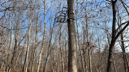 Scioto County Ohio Land for Sale - image 32