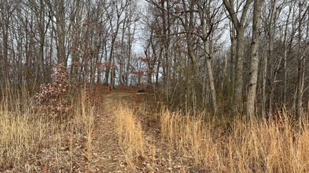 Scioto County Ohio Land for Sale - image 40