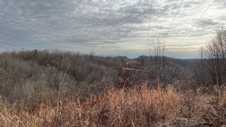 Scioto County Ohio Land for Sale - image 42