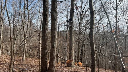 Scioto County Ohio Land for Sale - image 31