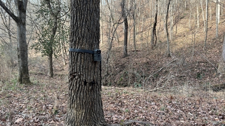 Scioto County Ohio Land for Sale - image 11