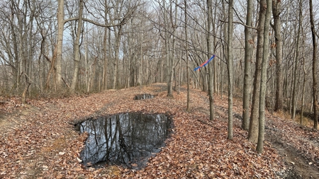 Scioto County Ohio Land for Sale - image 39