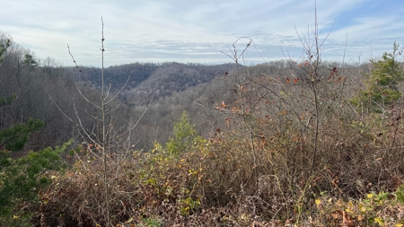 Scioto County Ohio Land for Sale - image 22