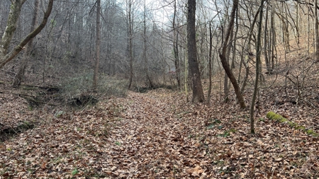 Scioto County Ohio Land for Sale - image 14