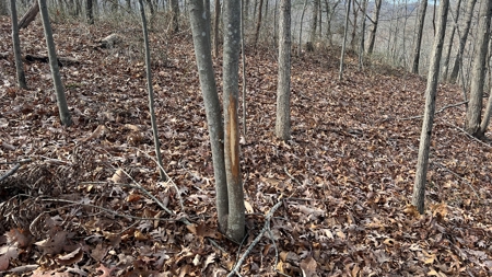 Scioto County Ohio Land for Sale - image 26