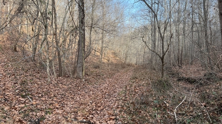 Scioto County Ohio Land for Sale - image 13