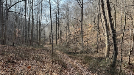 Scioto County Ohio Land for Sale - image 16