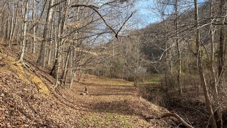 Scioto County Ohio Land for Sale - image 3