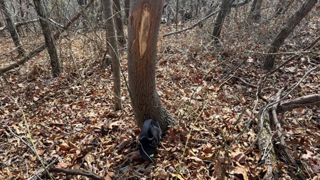 Scioto County Ohio Land for Sale - image 30