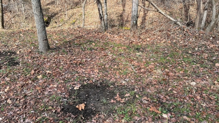 Scioto County Ohio Land for Sale - image 8