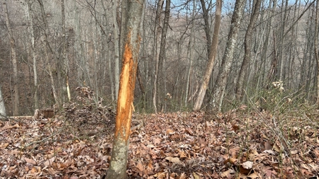 Scioto County Ohio Land for Sale - image 36