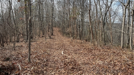Scioto County Ohio Land for Sale - image 24