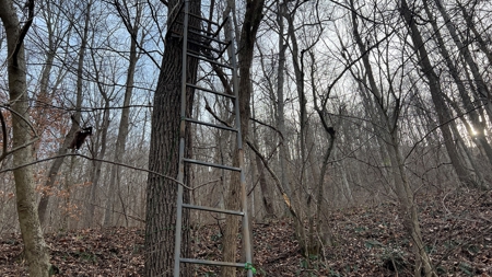 Scioto County Ohio Land for Sale - image 12
