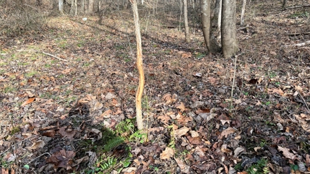 Scioto County Ohio Land for Sale - image 18