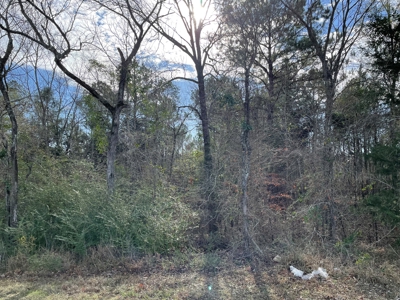 Rusk County Texas Lands For Sale - image 12