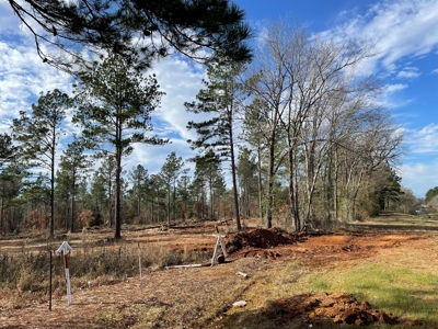 Rusk County Texas Lands For Sale - image 19