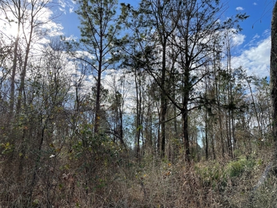 Rusk County Texas Lands For Sale - image 8