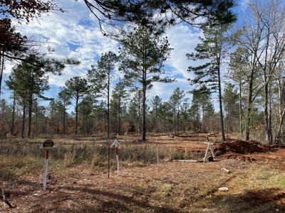 Rusk County Texas Lands For Sale - image 18
