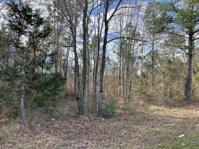 Rusk County Texas Lands For Sale - image 11
