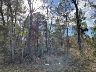 Rusk County Texas Lands For Sale - image 15
