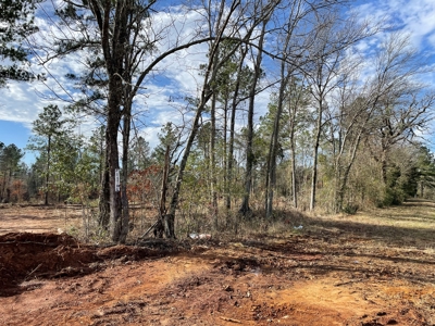 Rusk County Texas Lands For Sale - image 21