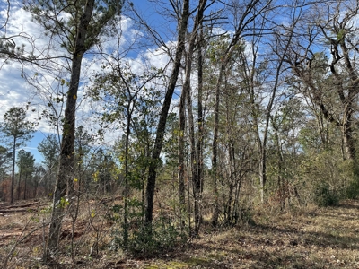 Rusk County Texas Lands For Sale - image 23
