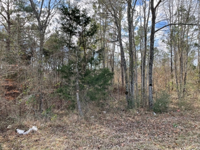 Rusk County Texas Lands For Sale - image 10
